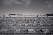 Theresienstadt